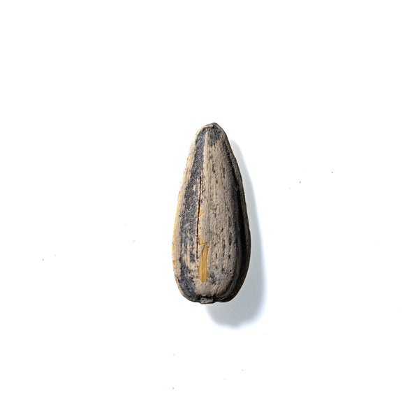 Sunflower Seed No. 928