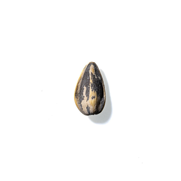 Sunflower Seed No. 932