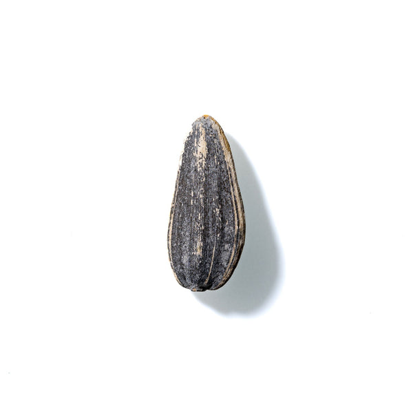 Sunflower Seed No. 978