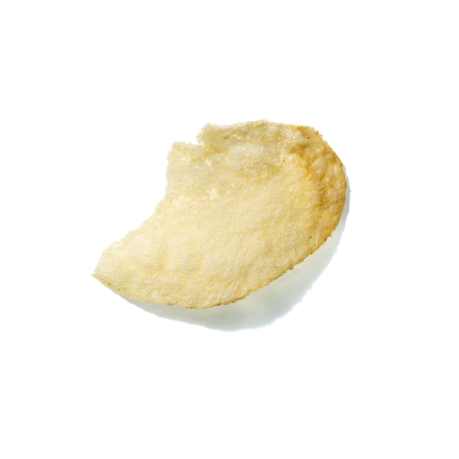 Potato Chip No. 40