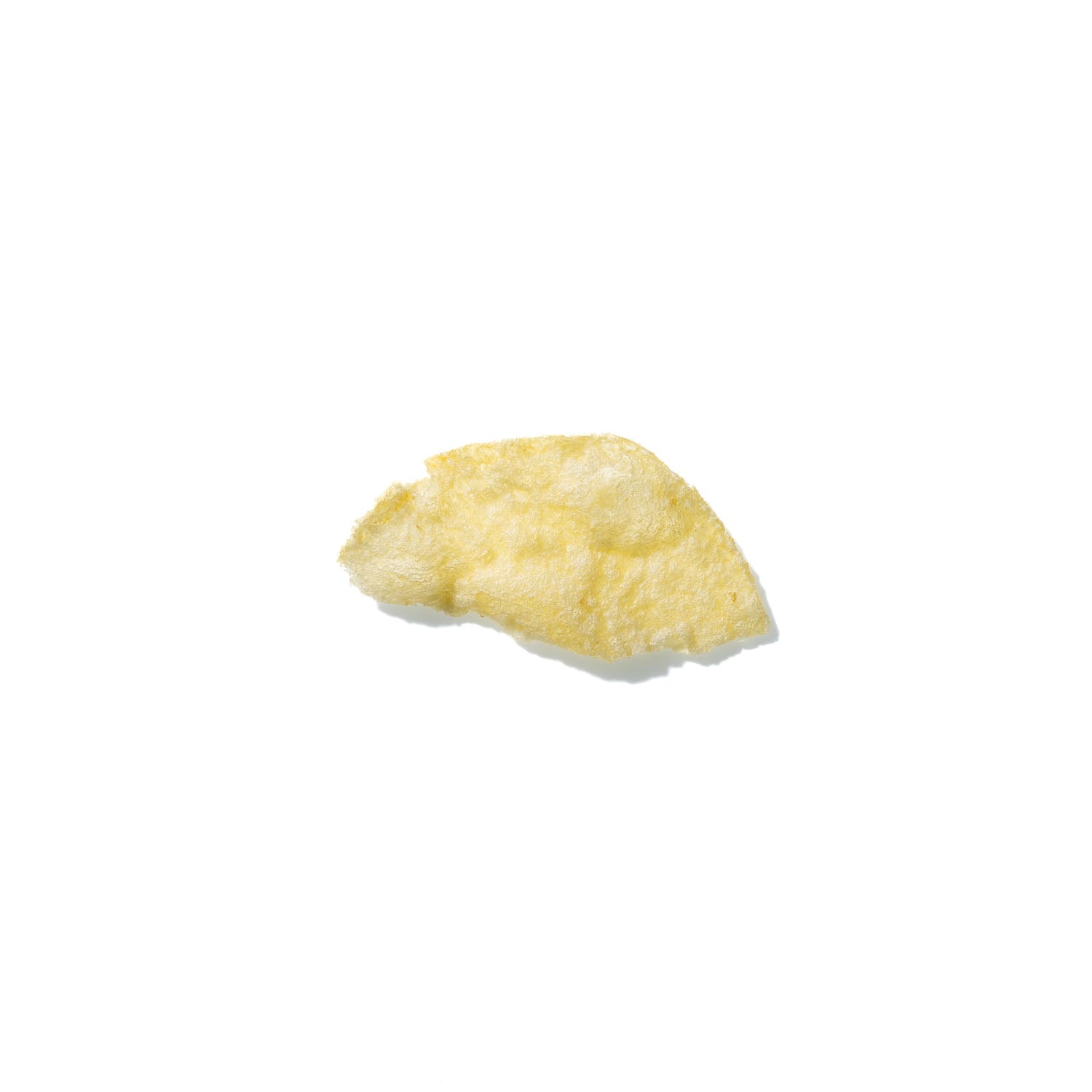 Potato Chip No. 106