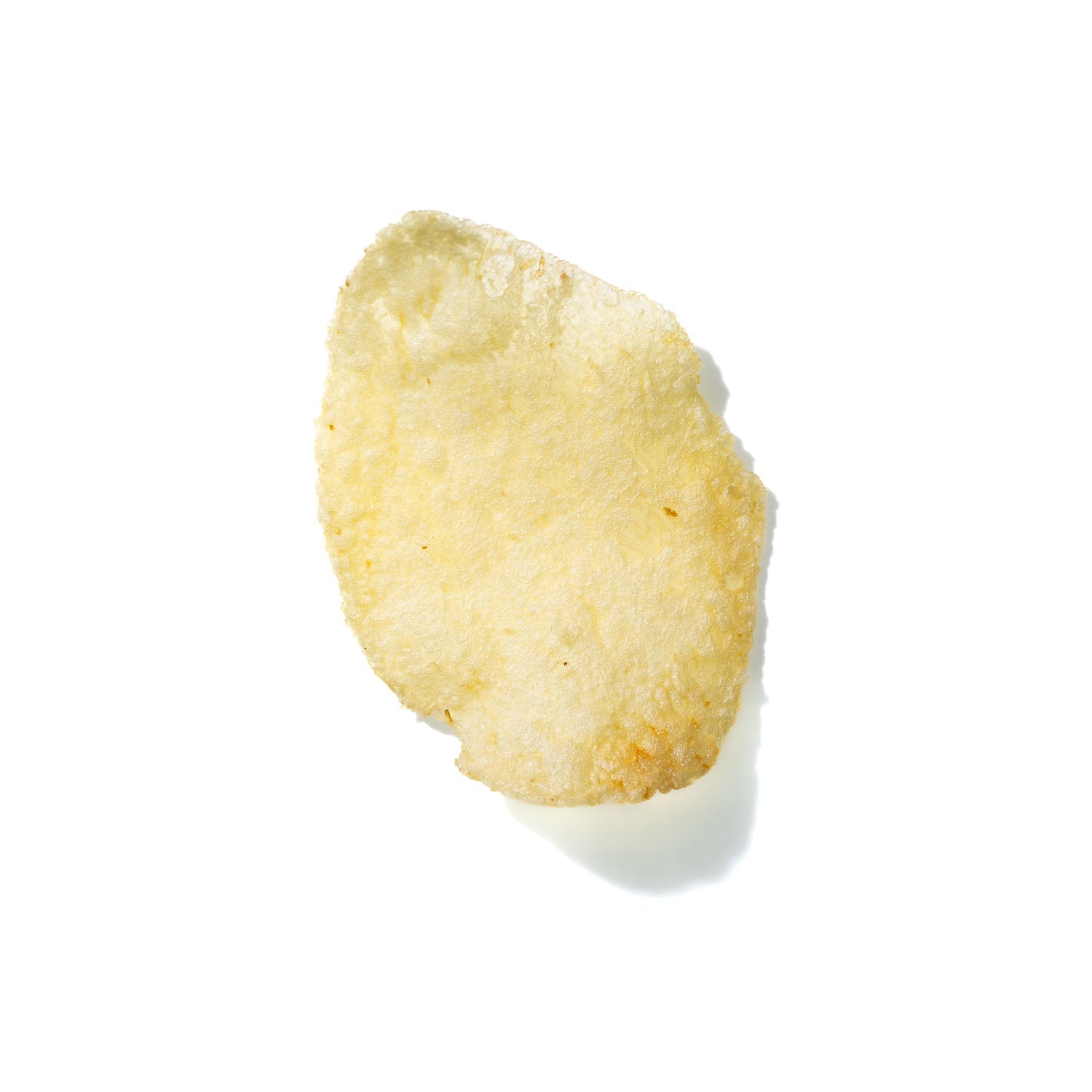 Potato Chip No. 107