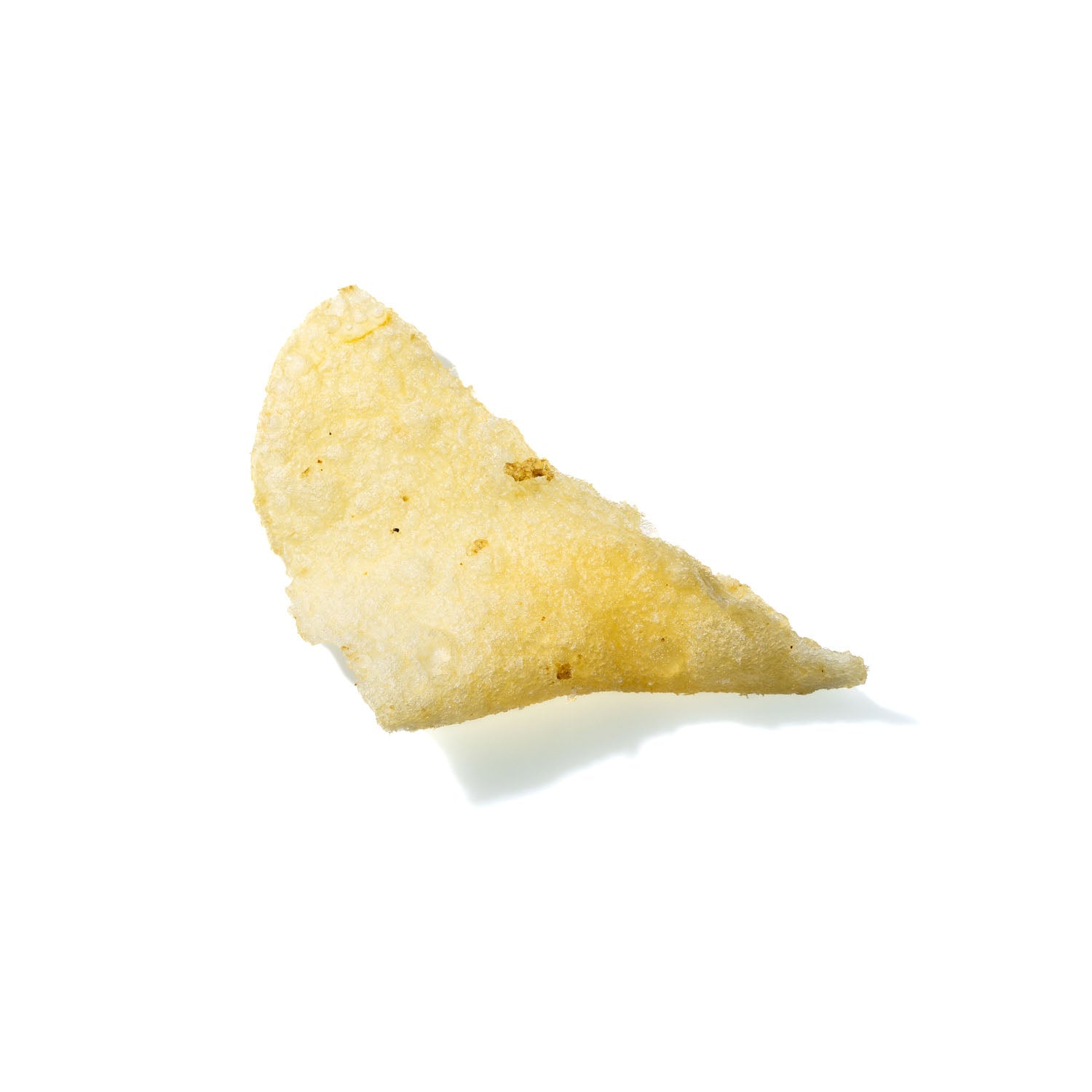 Potato Chip No. 109