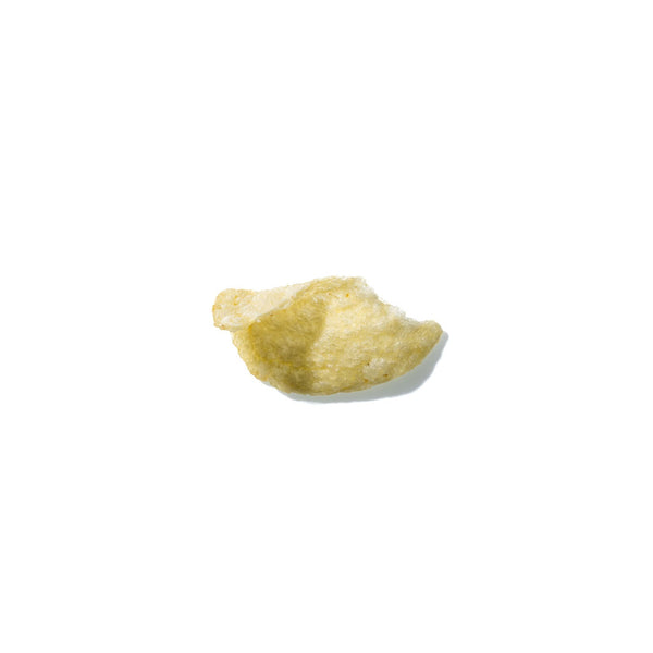 Potato Chip No. 134