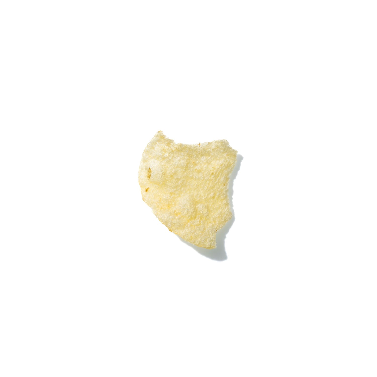 Potato Chip No. 169