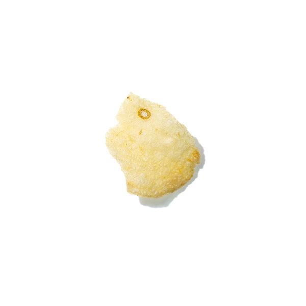 Potato Chip No. 173