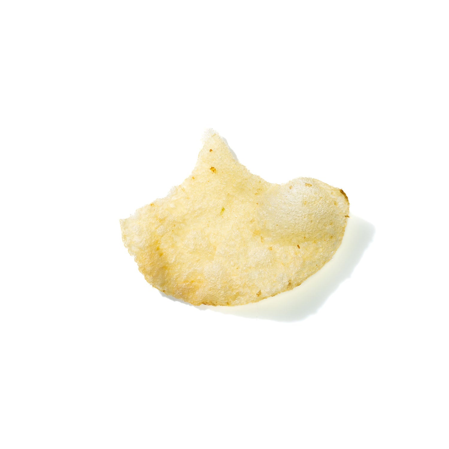 Potato Chip No. 228