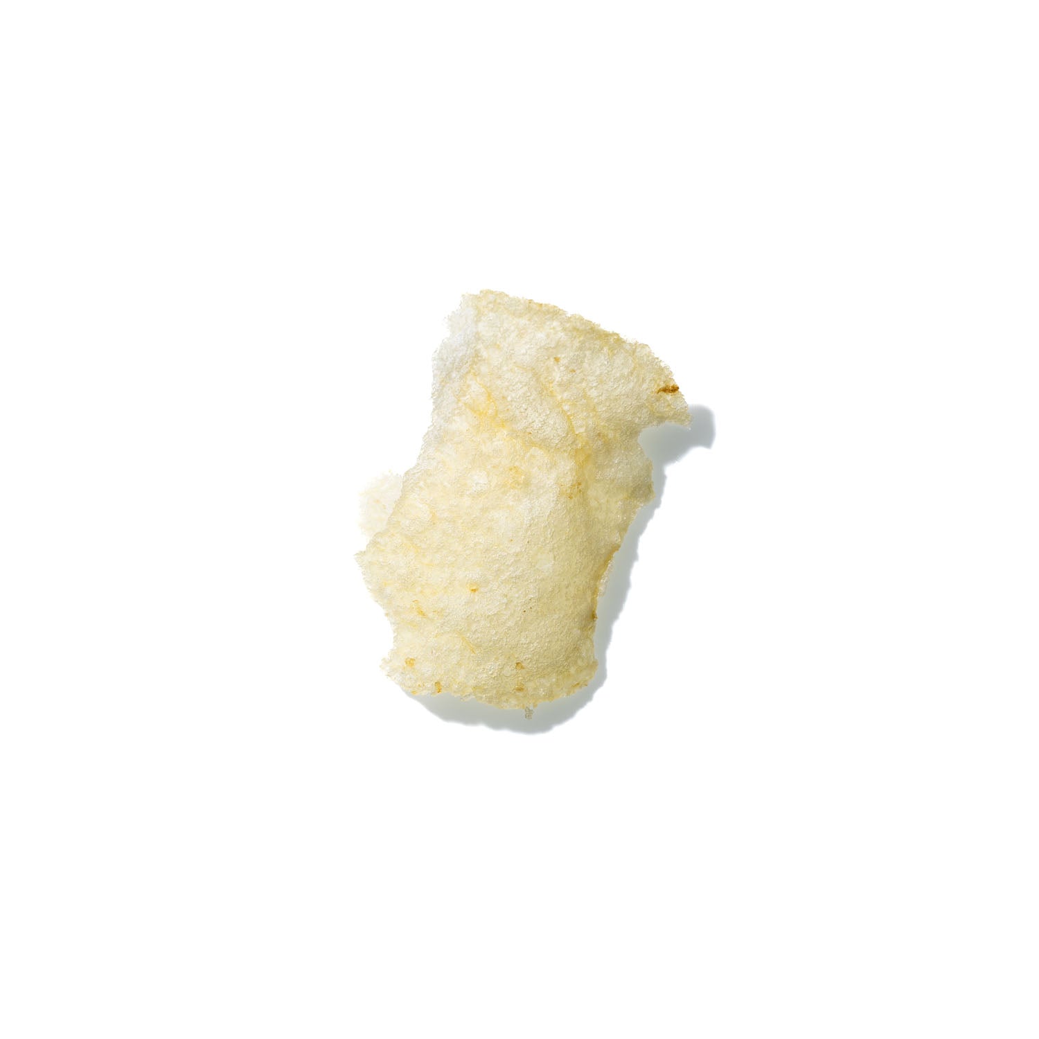 Potato Chip No. 237