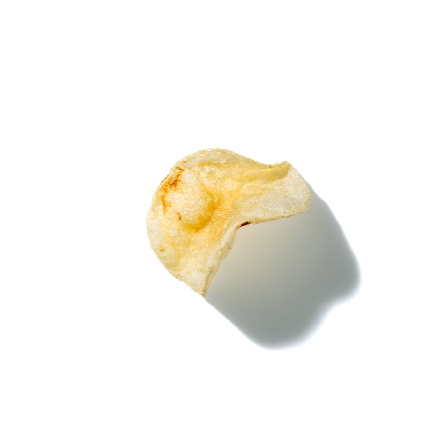 Potato Chip No. 239