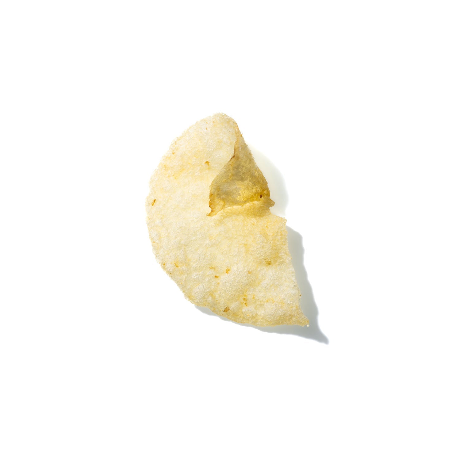 Potato Chip No. 240