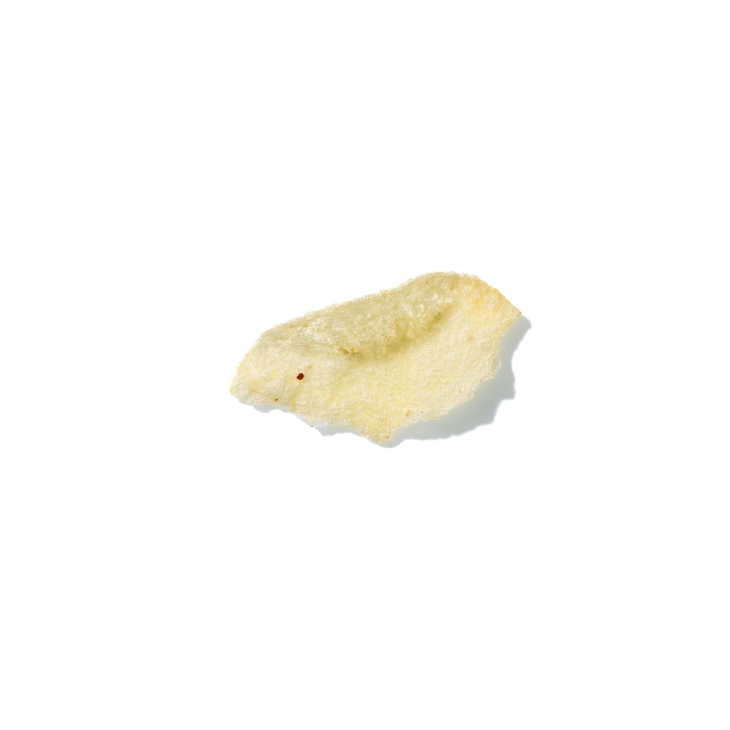 Potato Chip No. 241