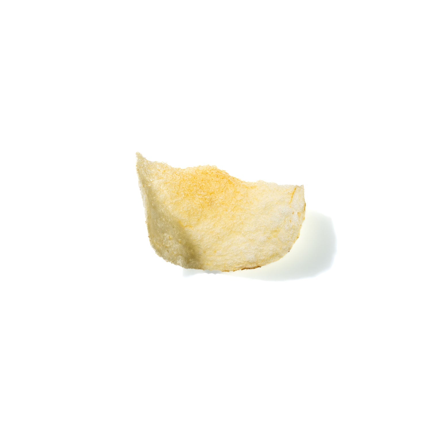 Potato Chip No. 259