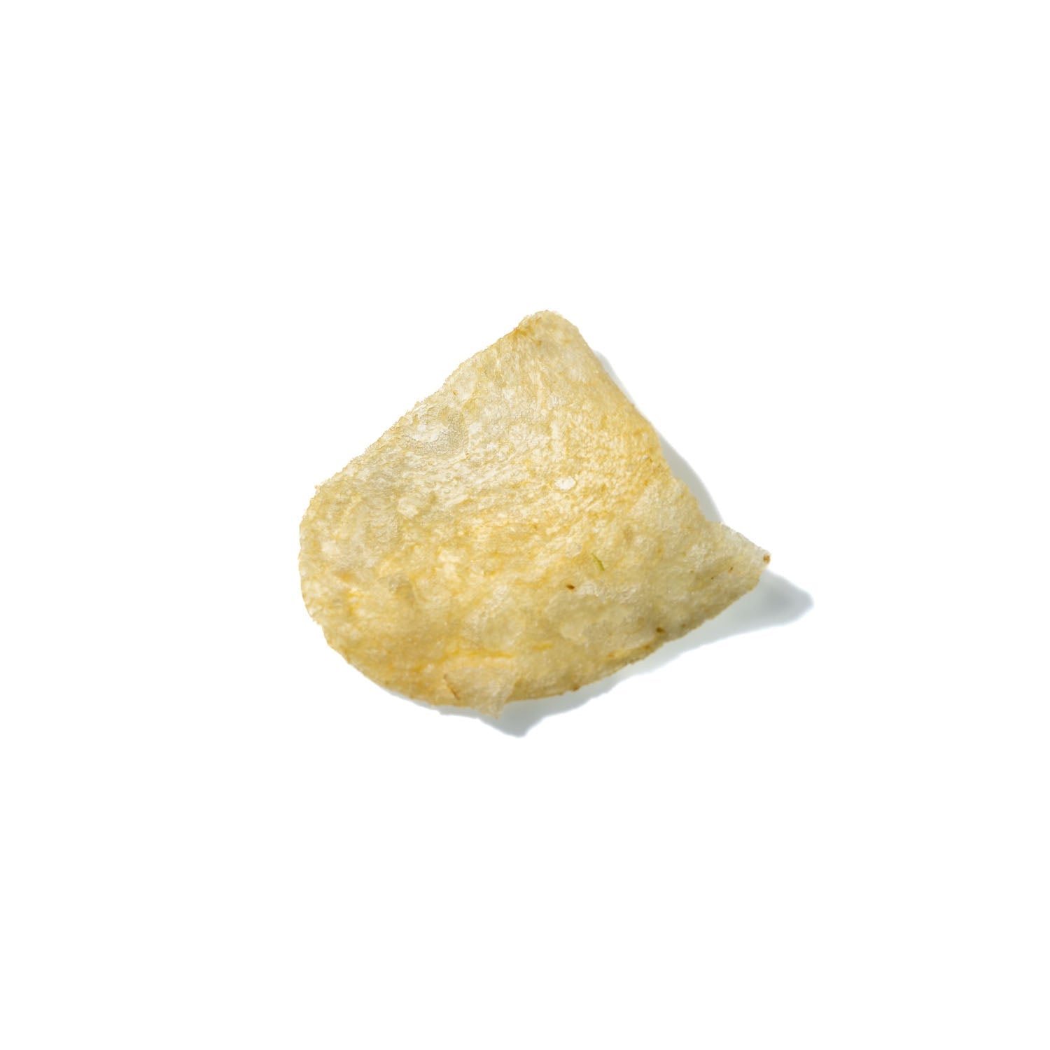 Potato Chip No. 262