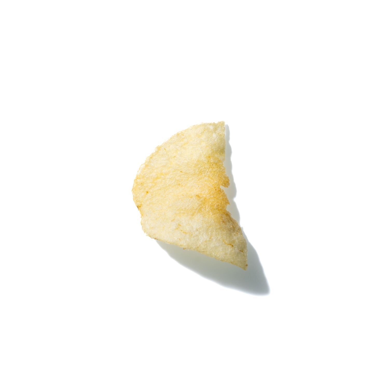 Potato Chip No. 263