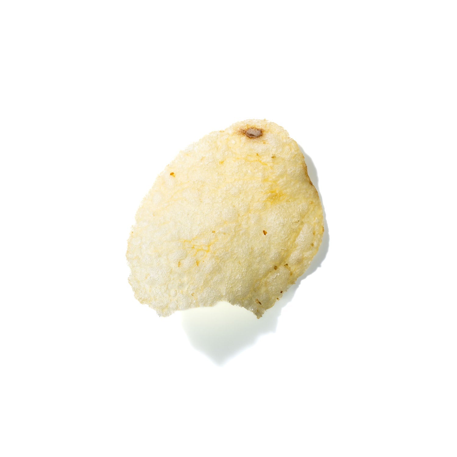 Potato Chip No. 264