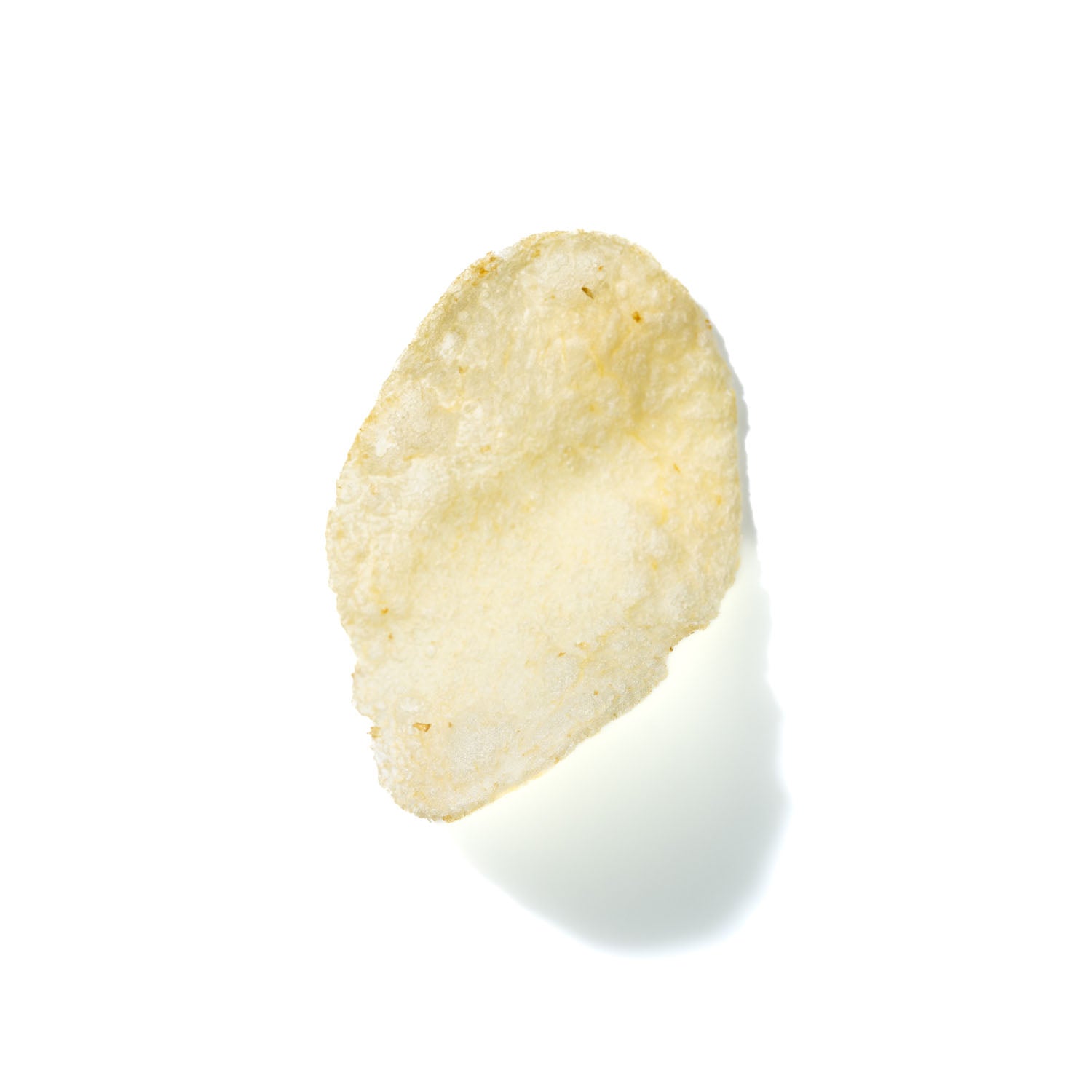 Potato Chip No. 269