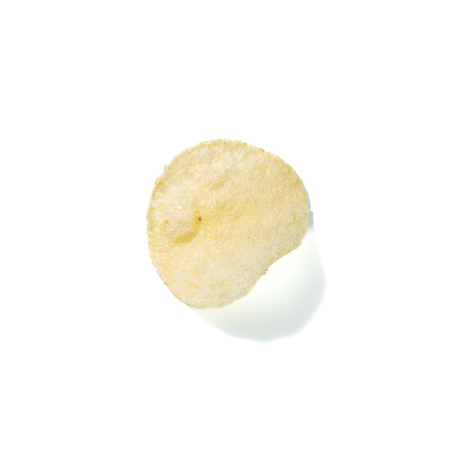 Potato Chip No. 289