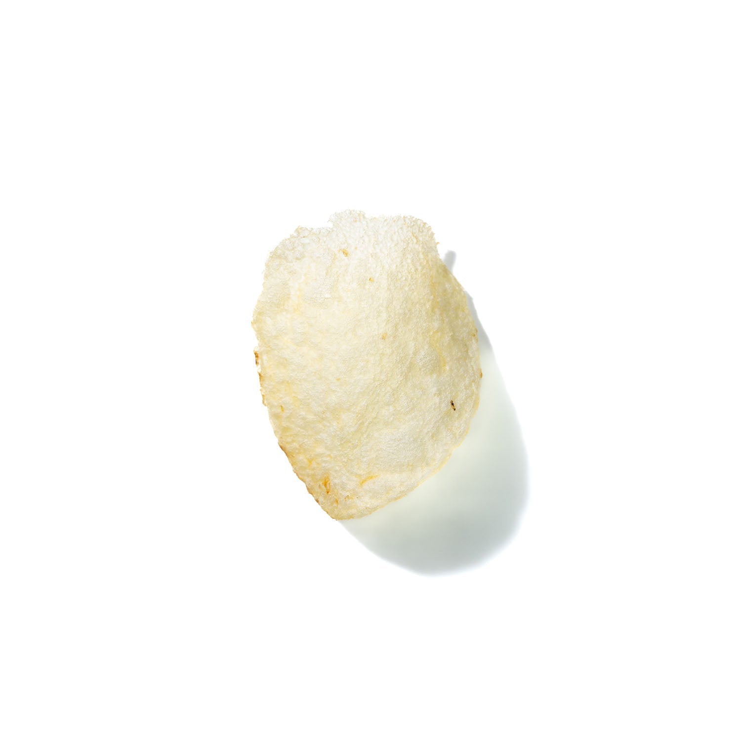 Potato Chip No. 290