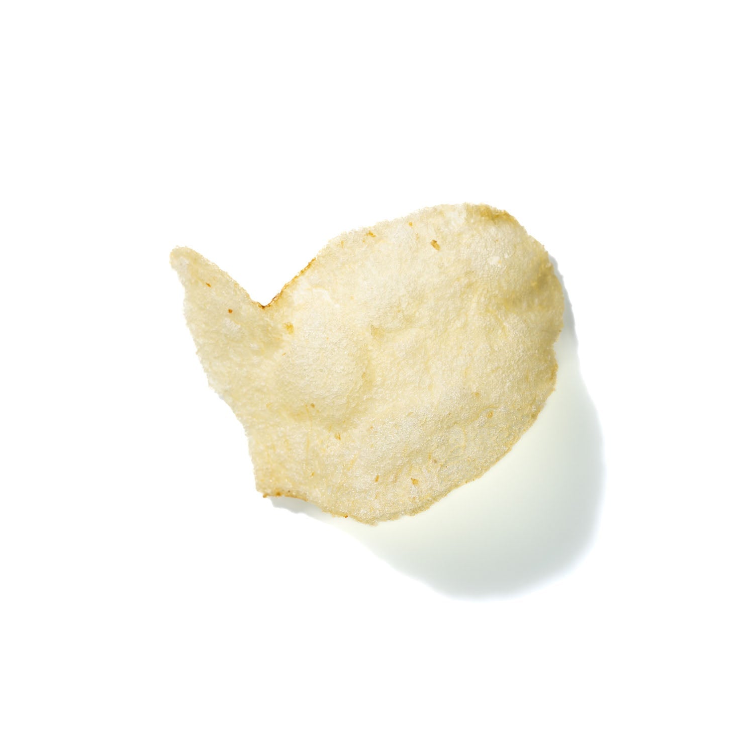 Potato Chip No. 294