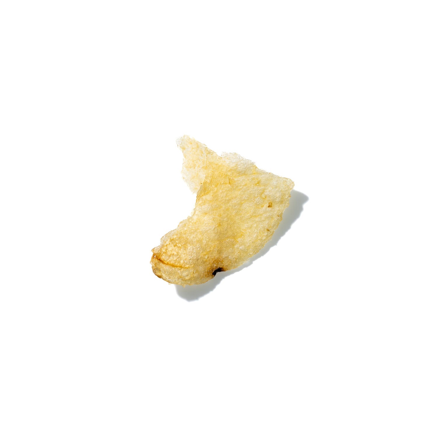 Potato Chip No. 302