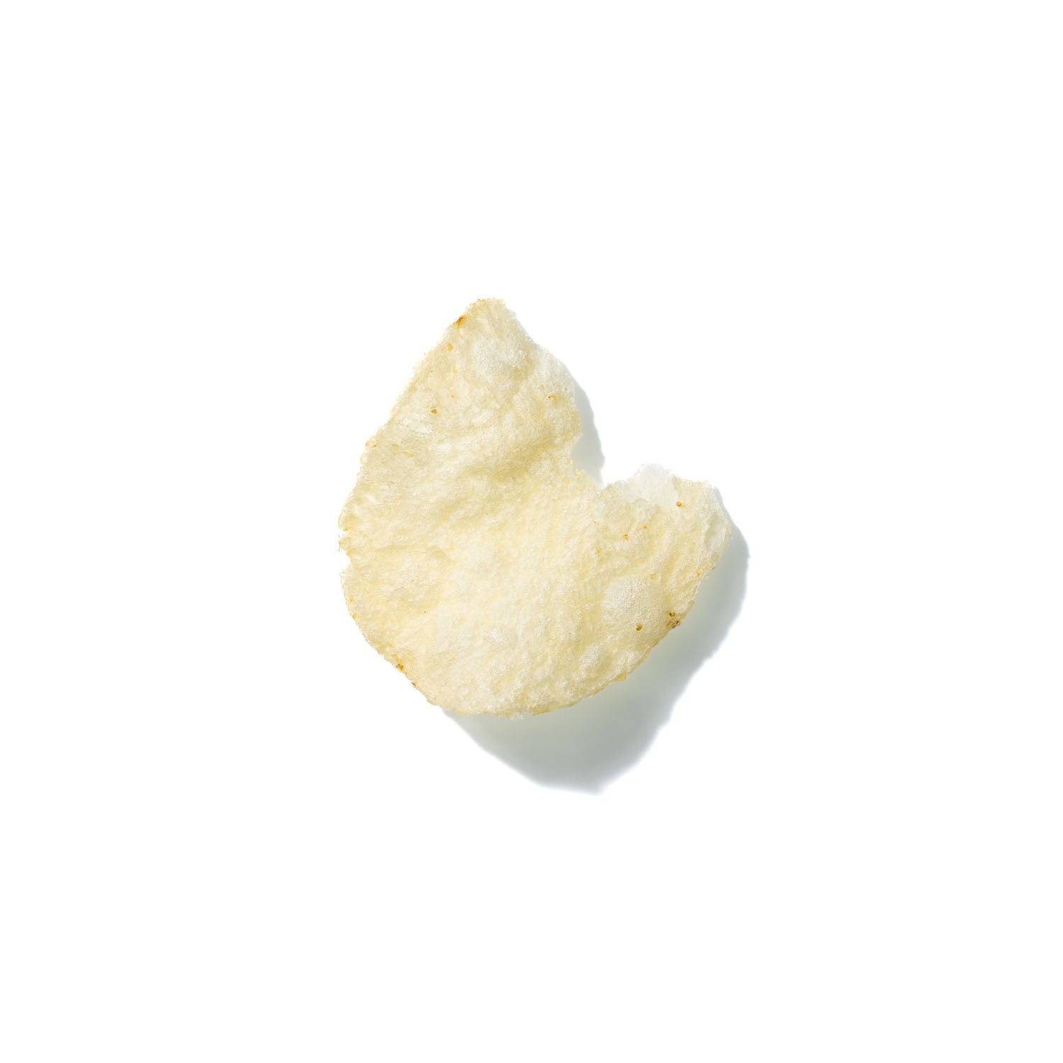 Potato Chip No. 305