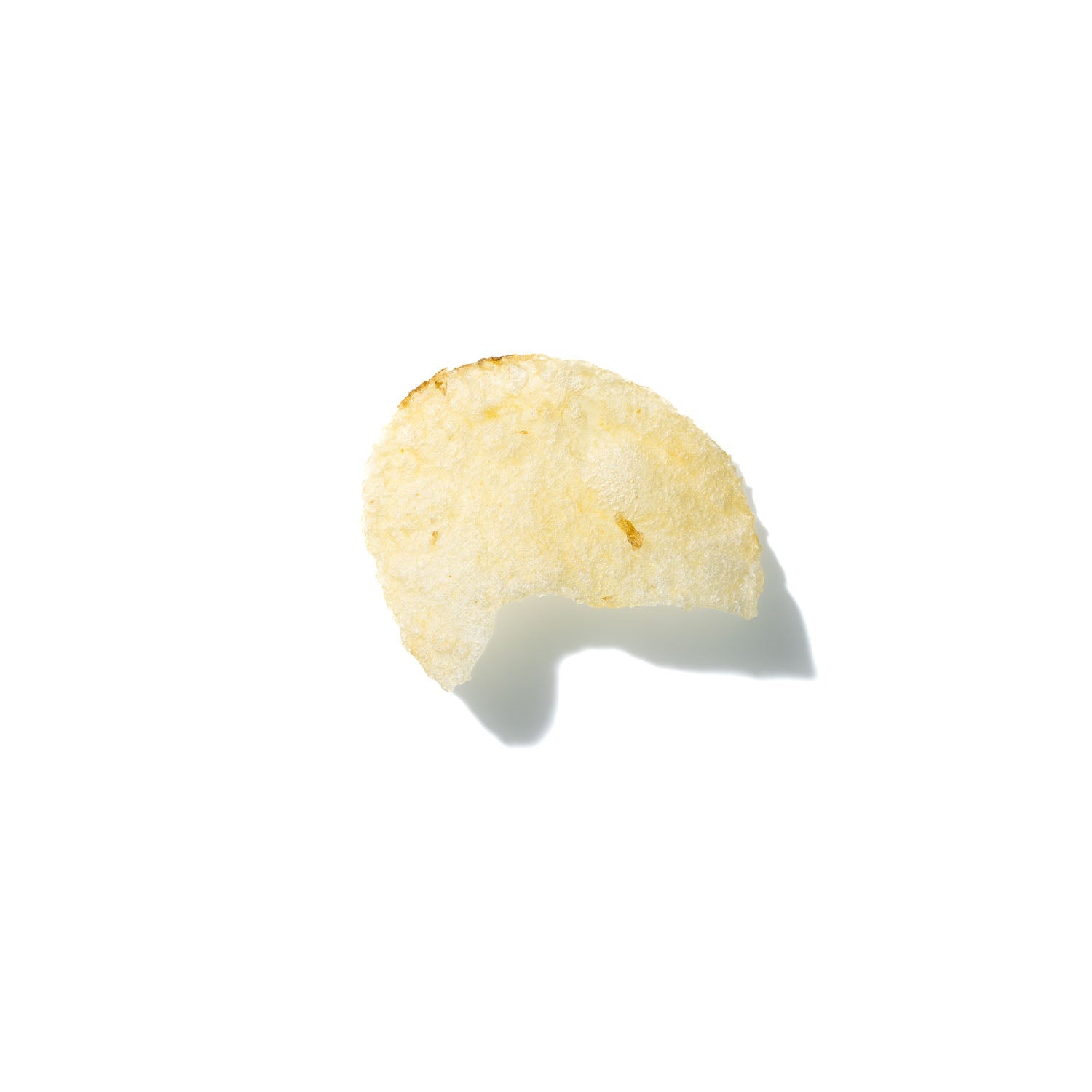 Potato Chip No. 308