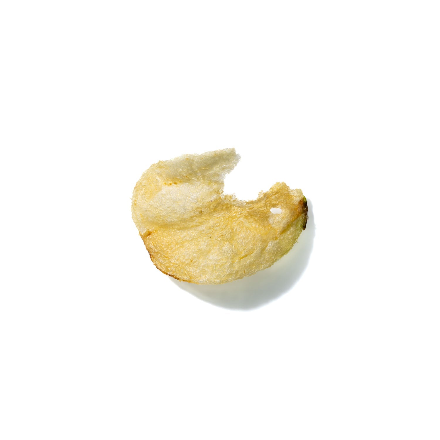 Potato Chip No. 309