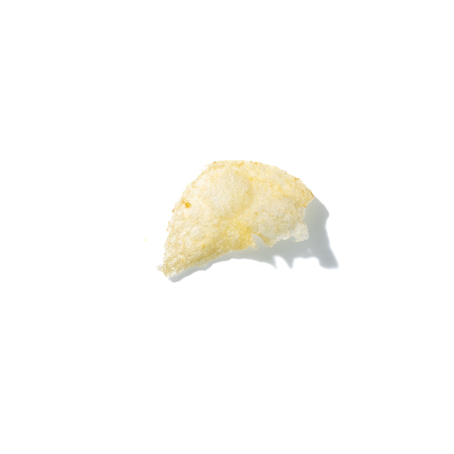 Potato Chip No. 310