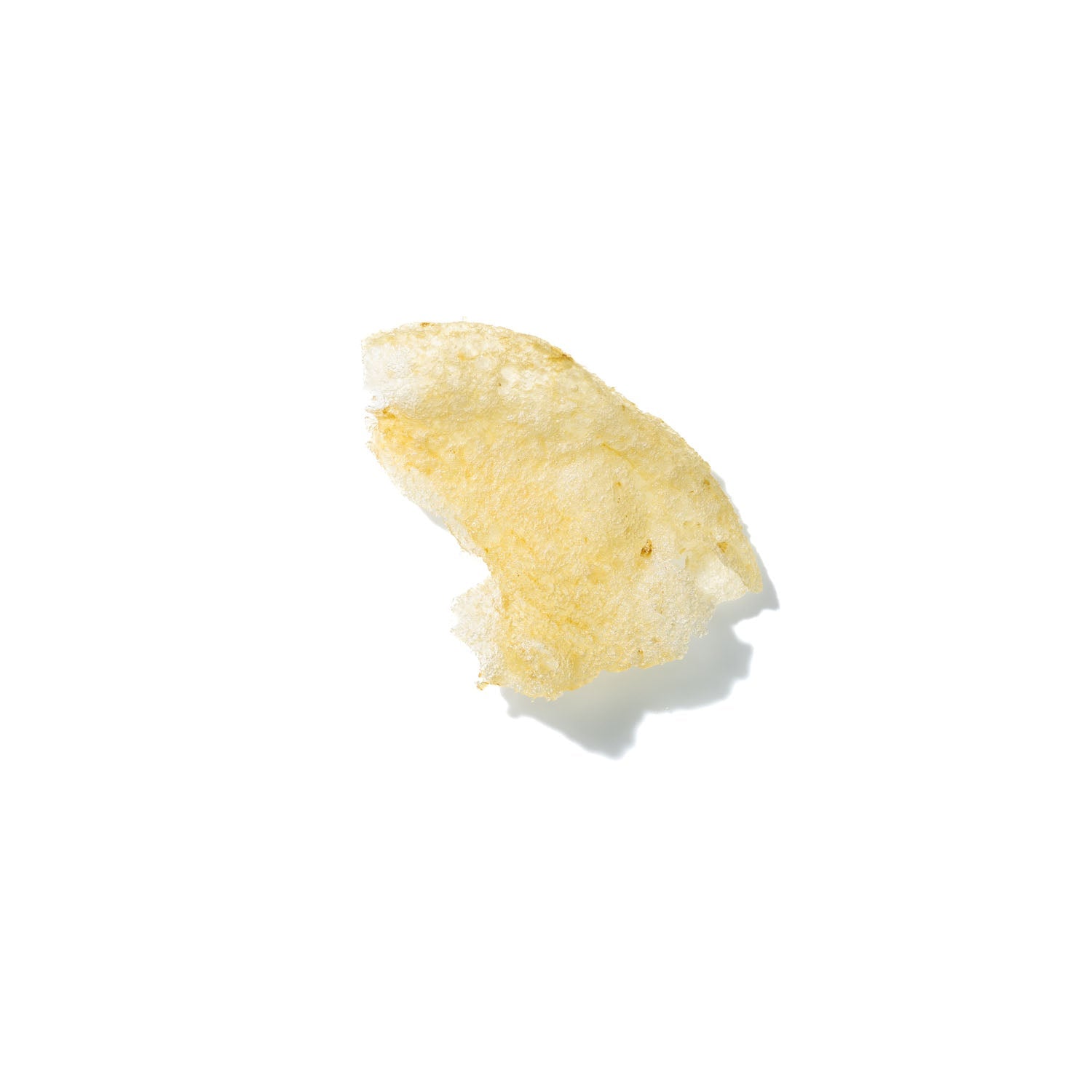 Potato Chip No. 312