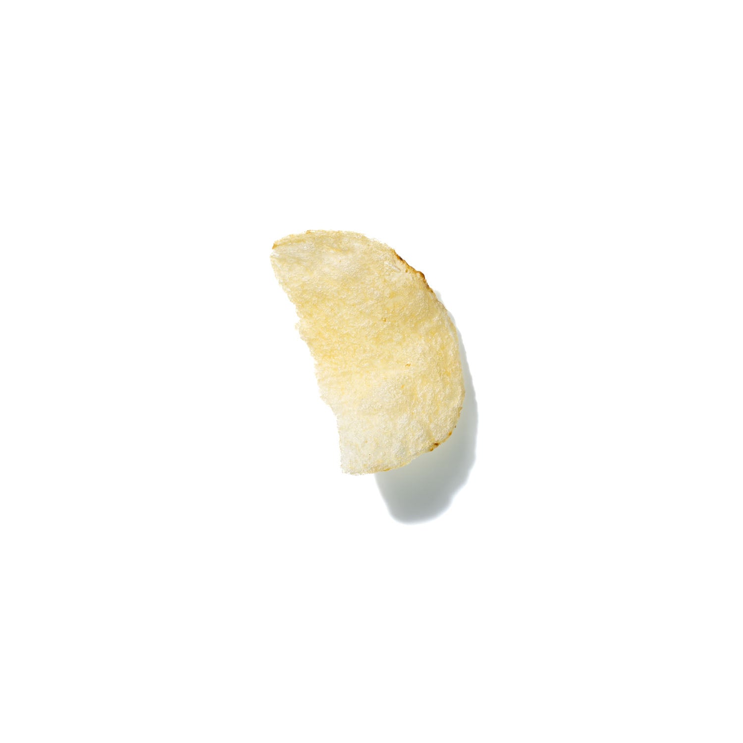 Potato Chip No. 313