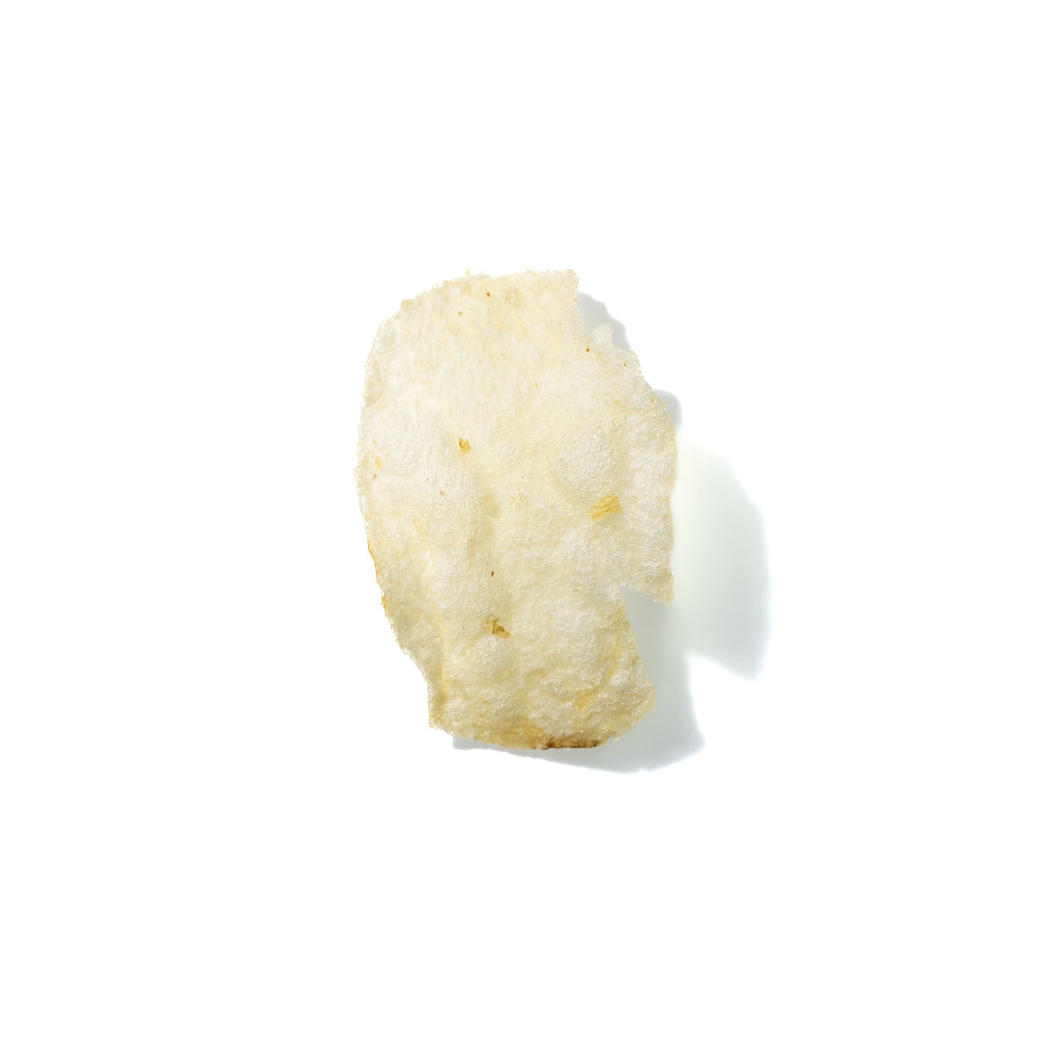 Potato Chip No. 318