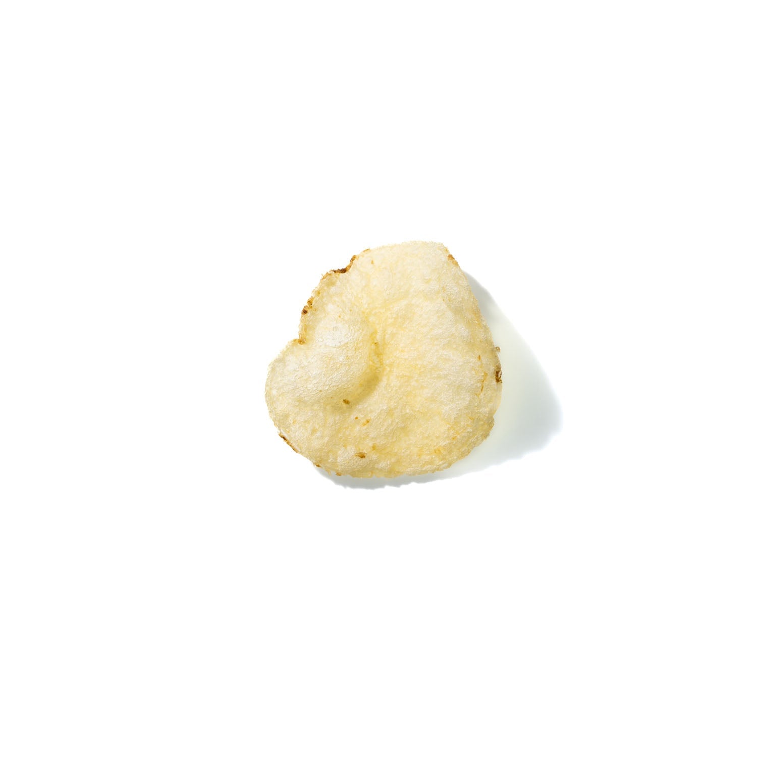 Potato Chip No. 319