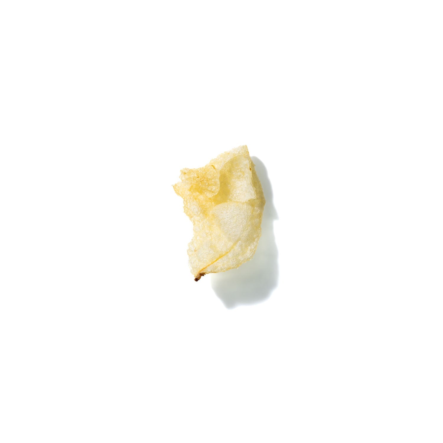 Potato Chip No. 338