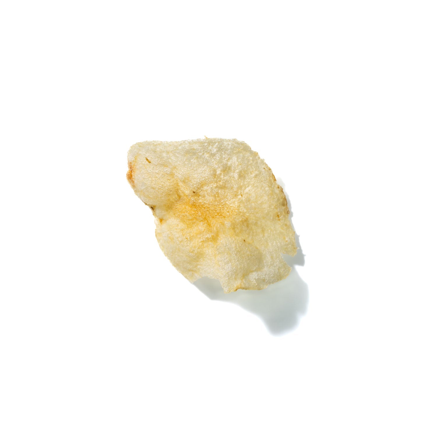 Potato Chip No. 340