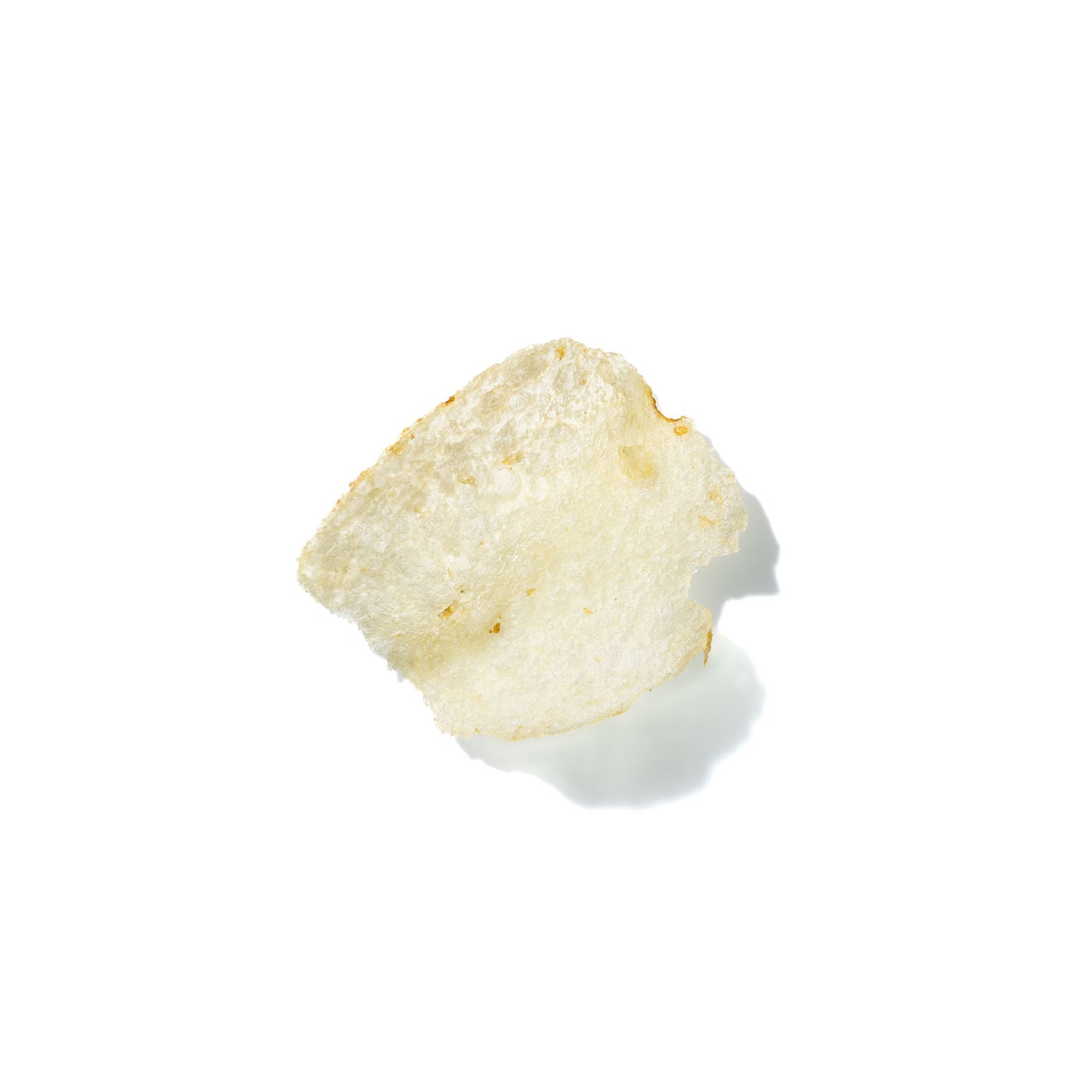 Potato Chip No. 341