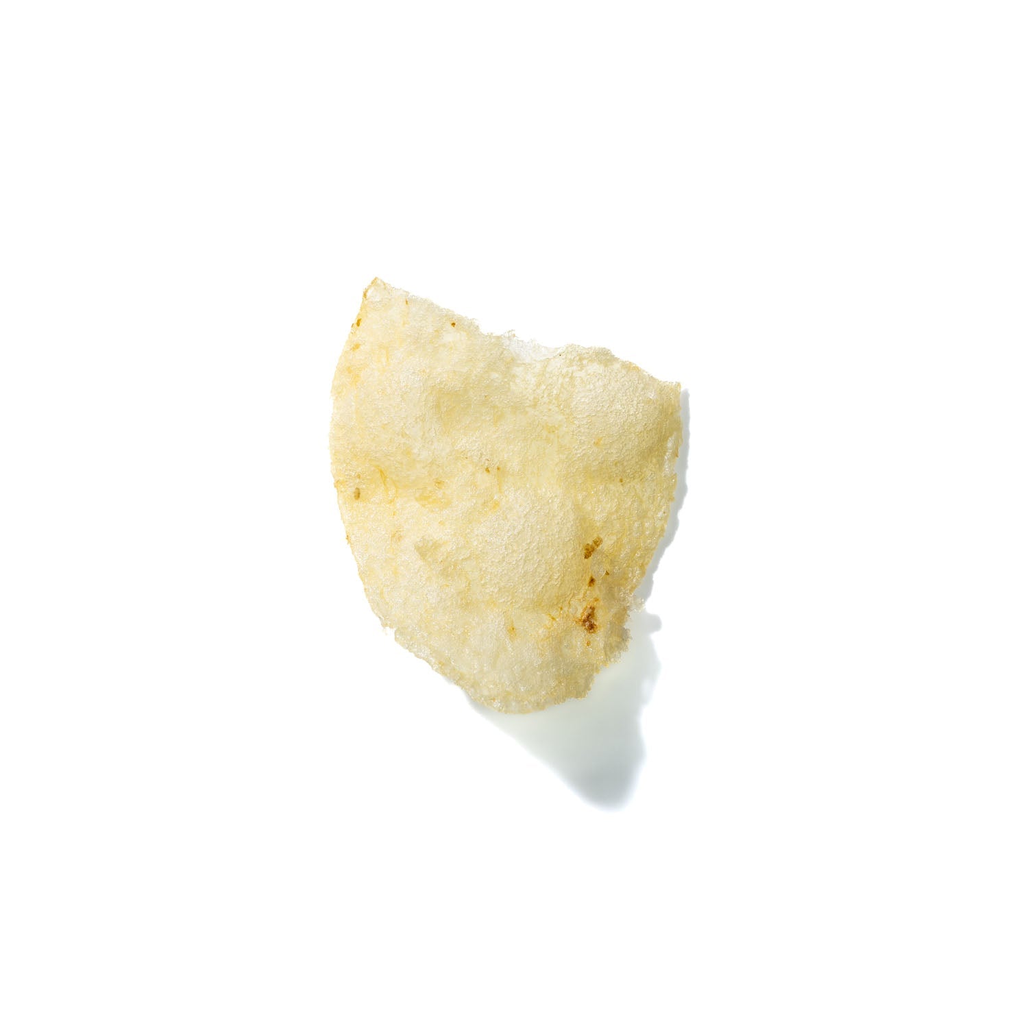 Potato Chip No. 347