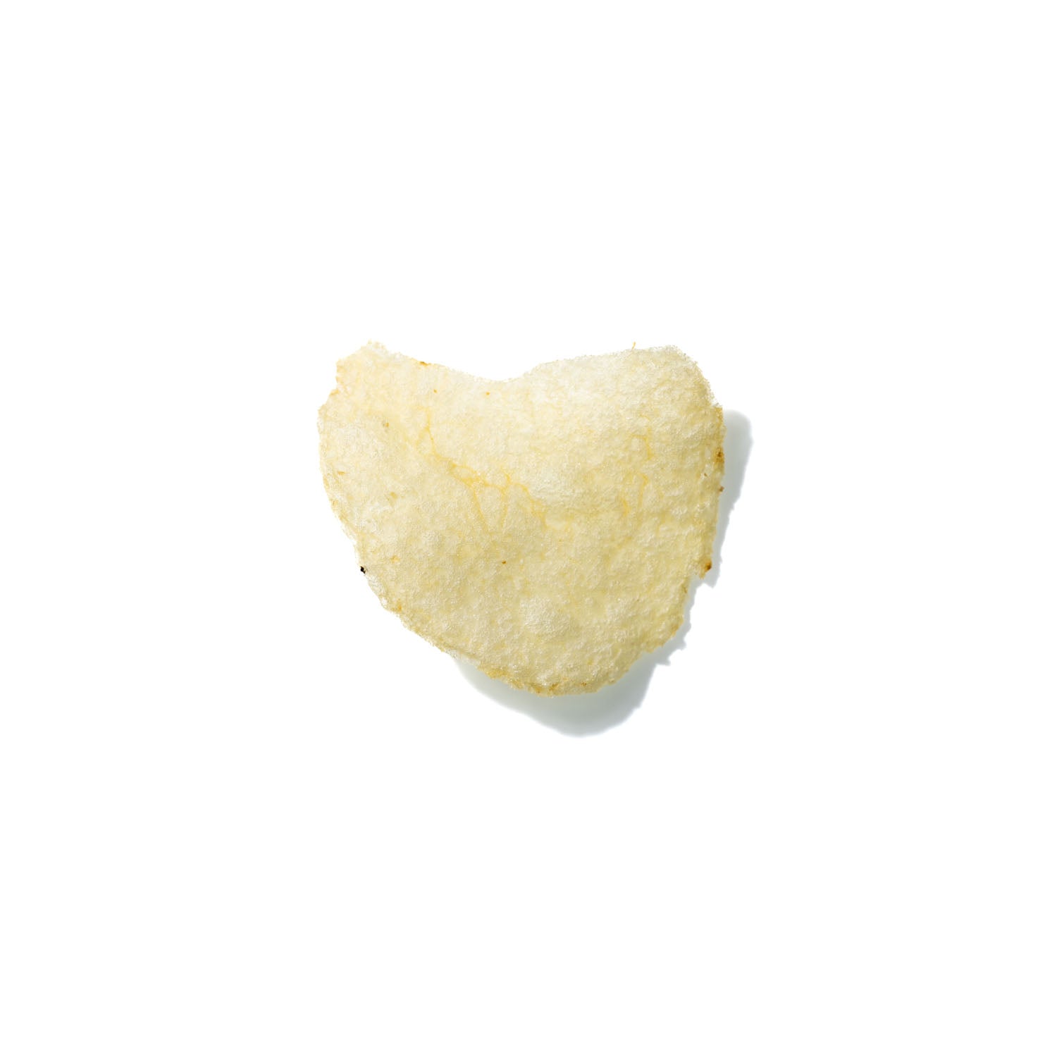 Potato Chip No. 348