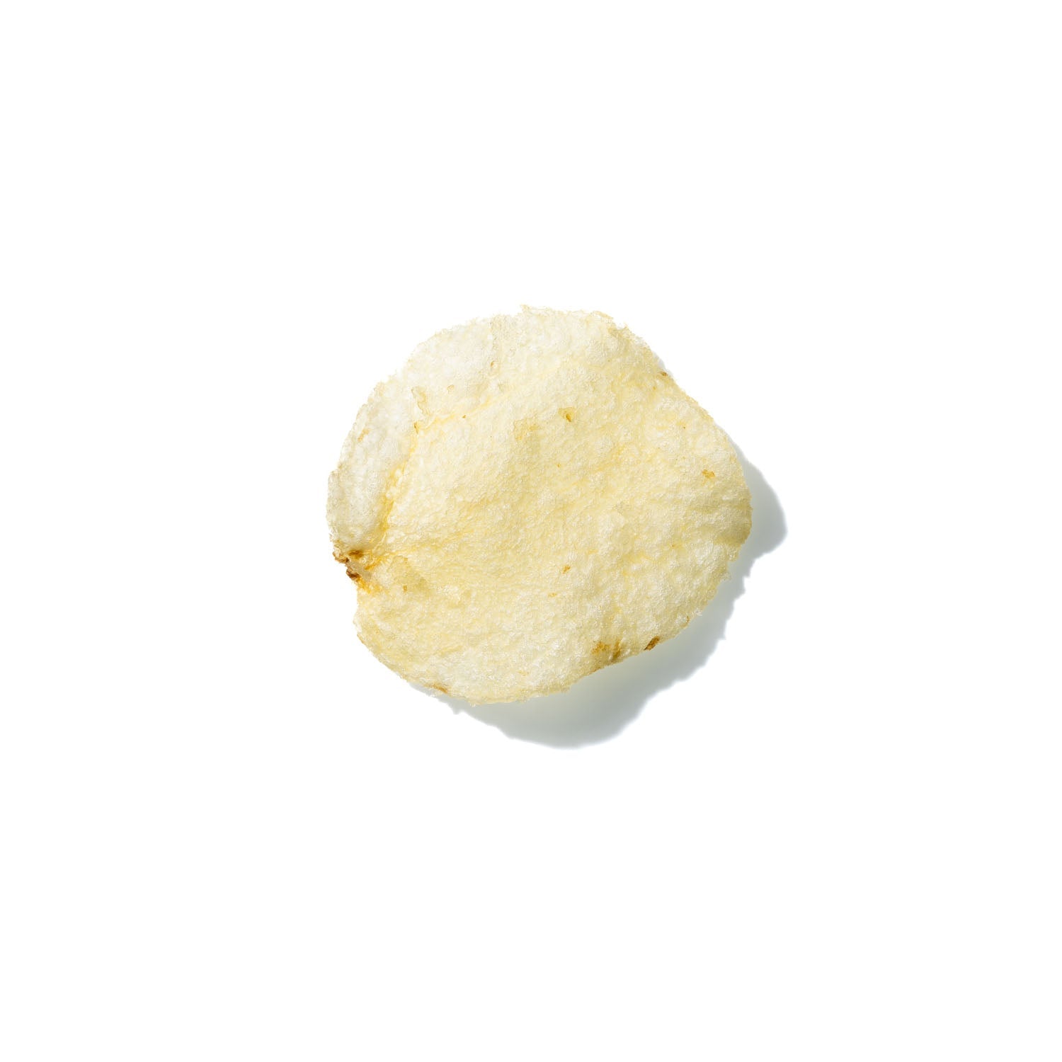 Potato Chip No. 349