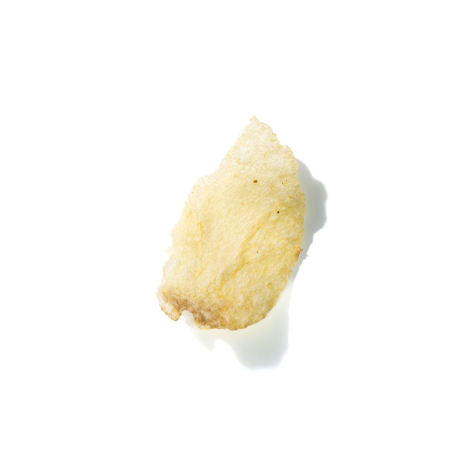 Potato Chip No. 609