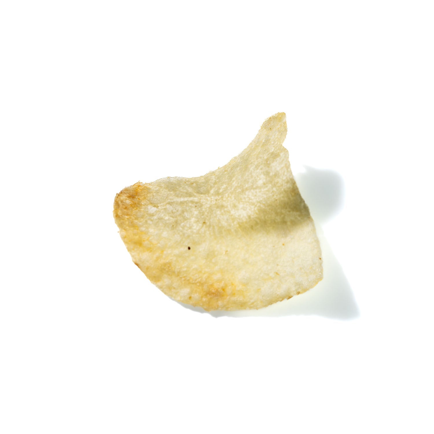 Potato Chip No. 623