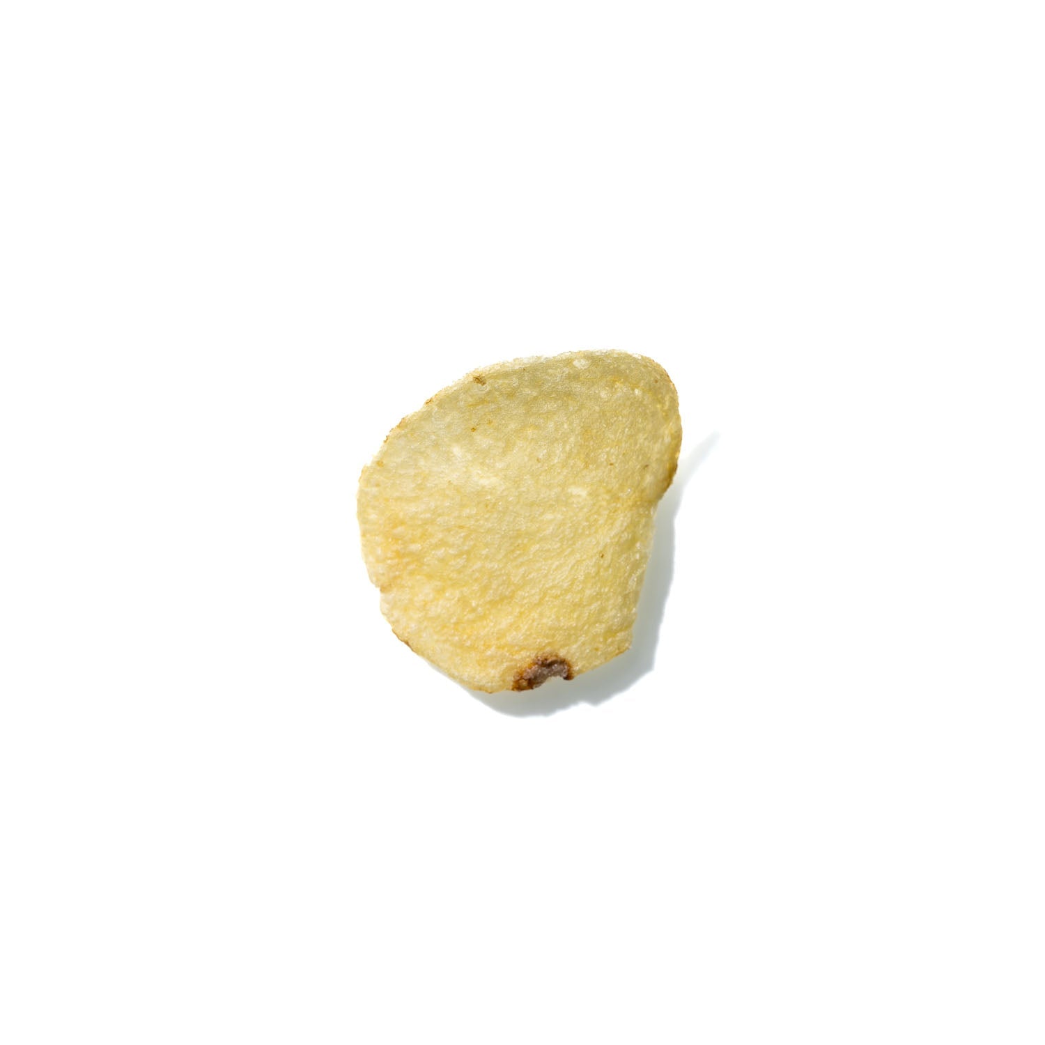 Potato Chip No. 626