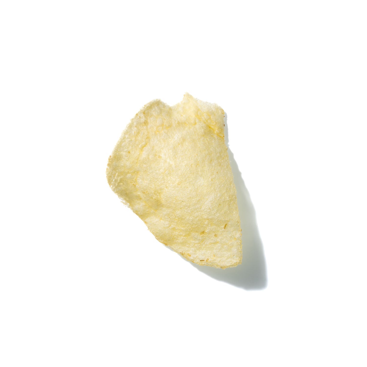 Potato Chip No. 676