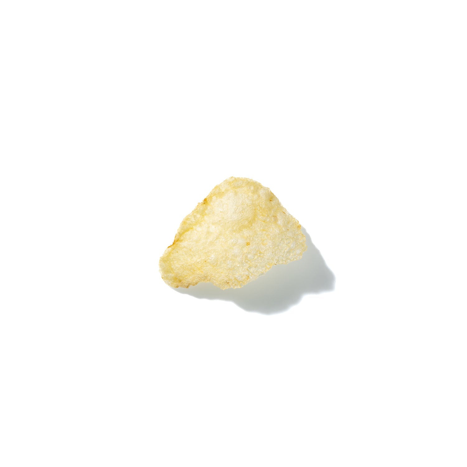 Potato Chip No. 691