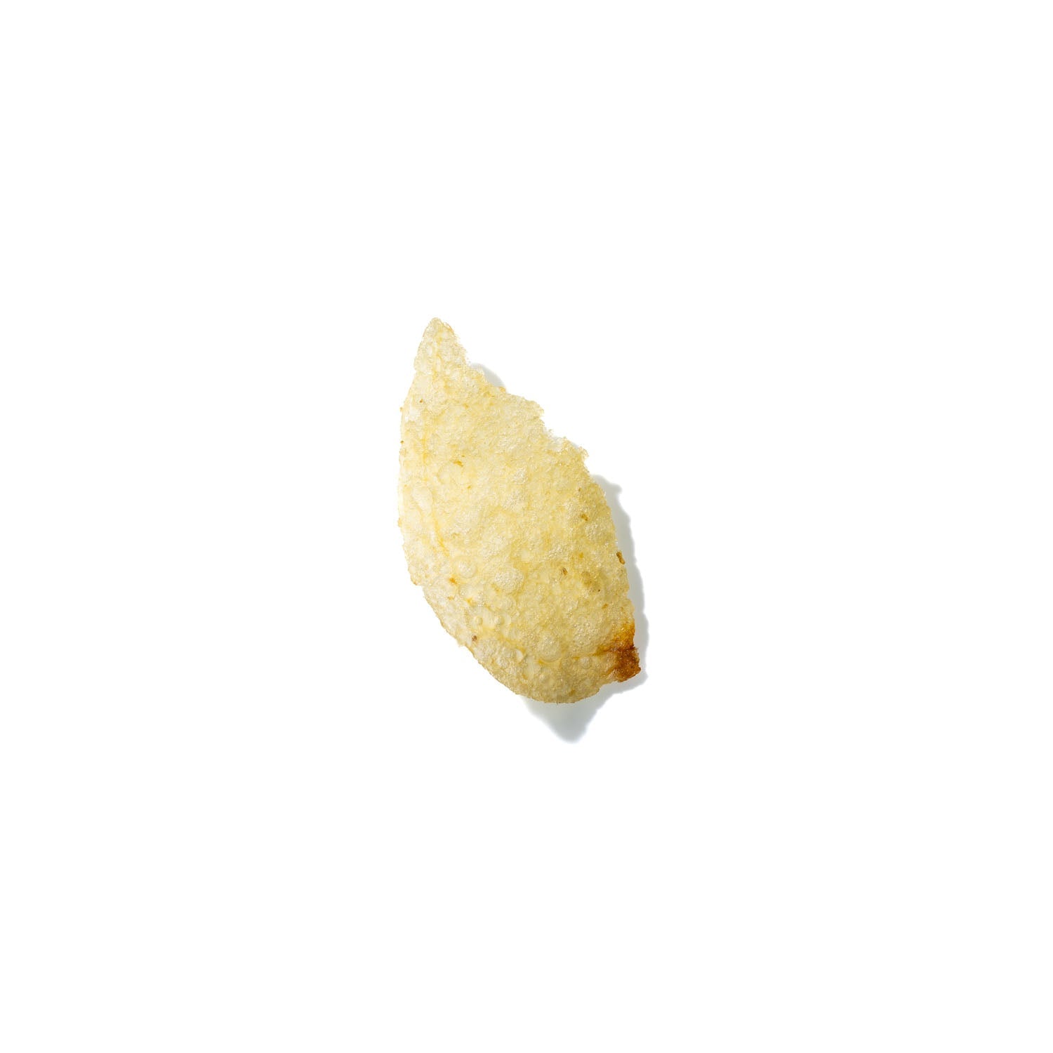 Potato Chip No. 695