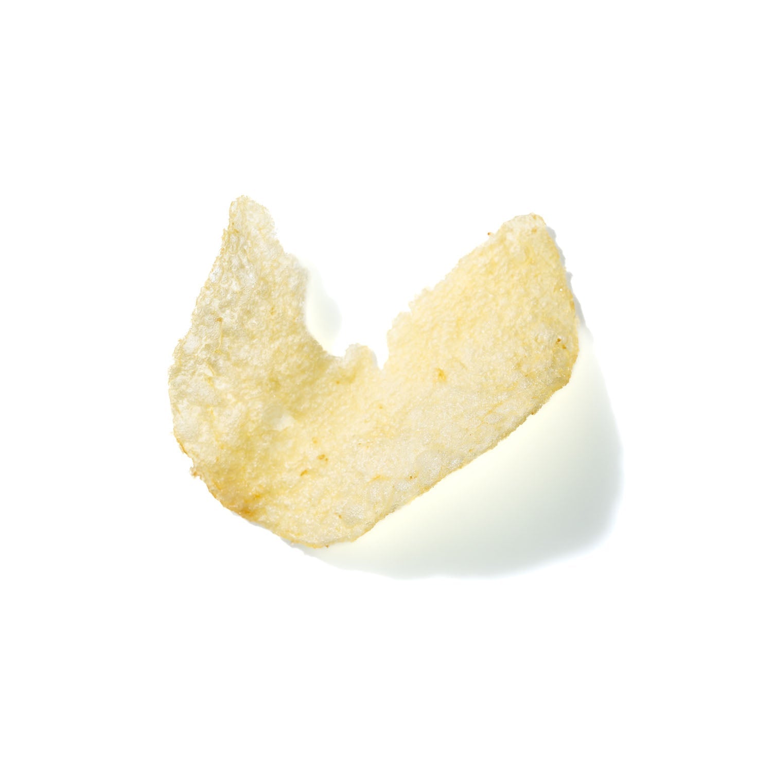 Potato Chip No. 719