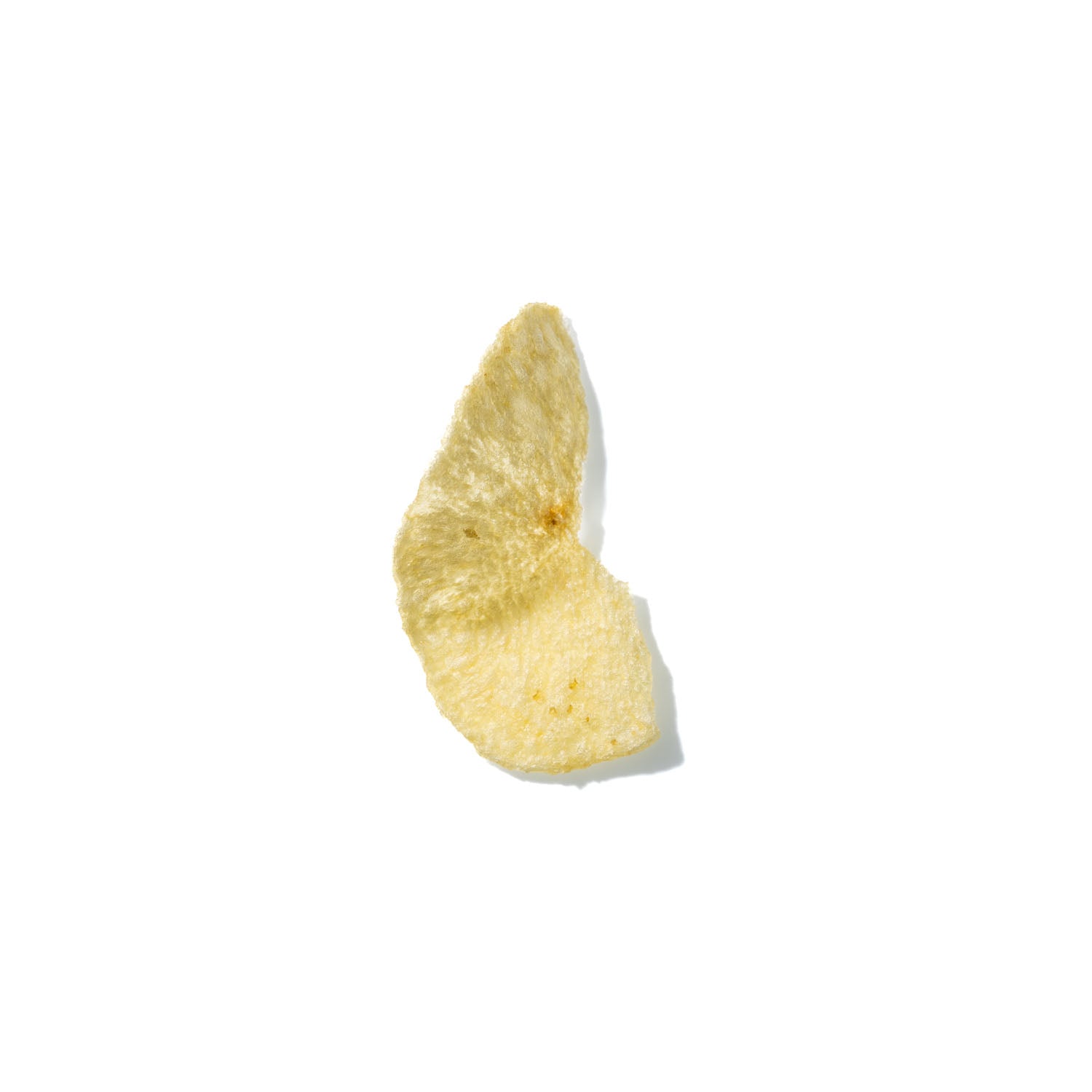 Potato Chip No. 721