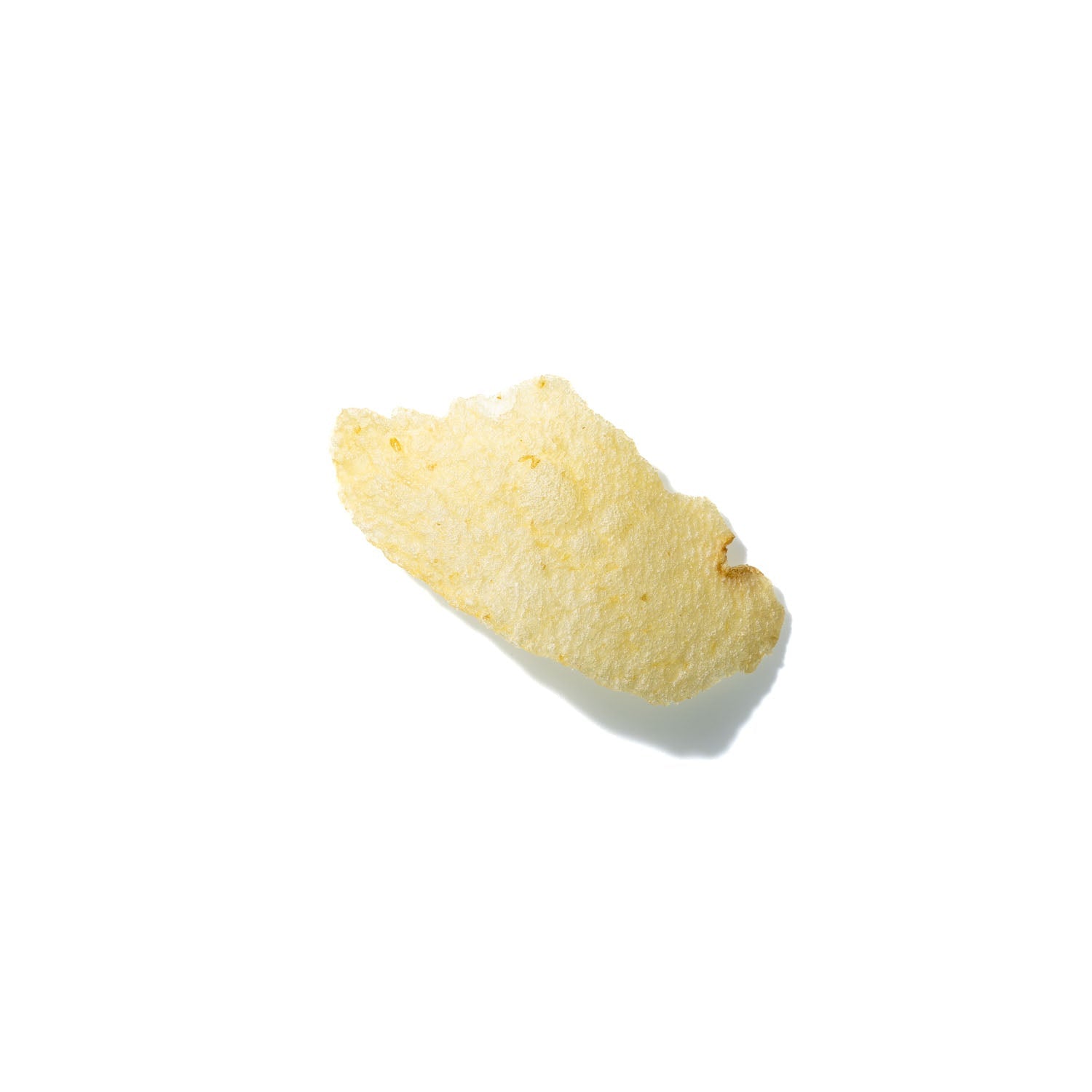 Potato Chip No. 731