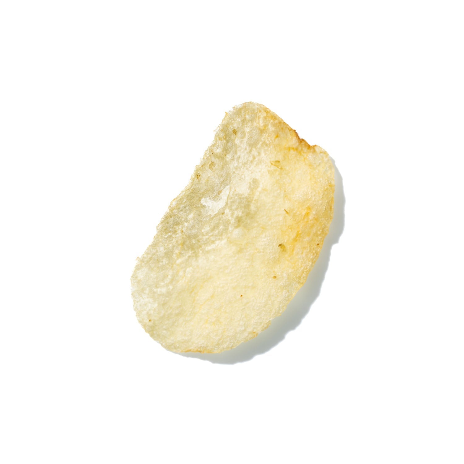 Potato Chip No. 737