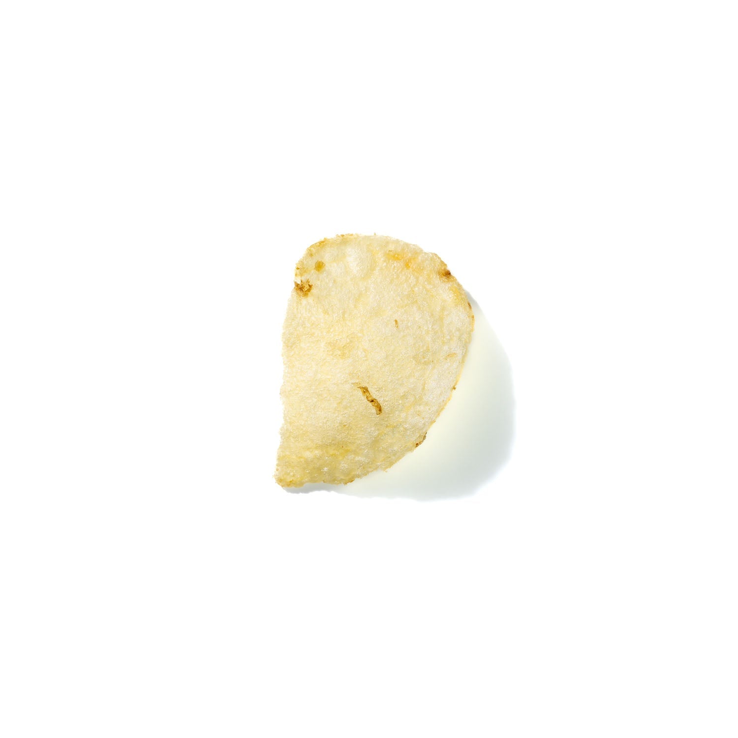 Potato Chip No. 738