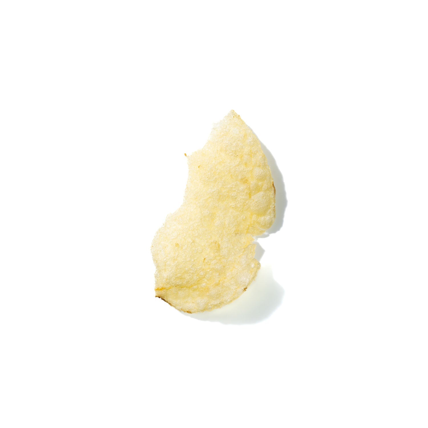 Potato Chip No. 739